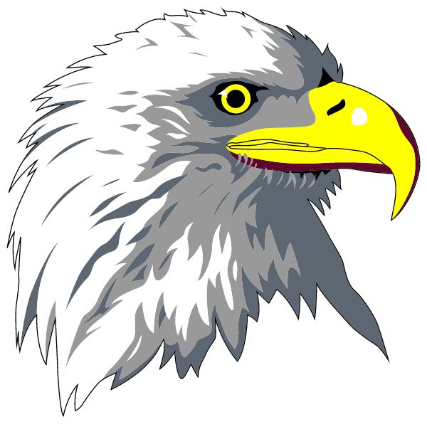 BLUE MOUNTAIN HIGH SCHOOL Sideline Store Eagles (SCHUYLKILL HAVEN, PENNSYLVANIA) Spirit Apparel & Accessories Store