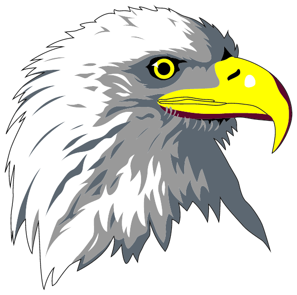 BLUE MOUNTAIN HIGH SCHOOL Logo