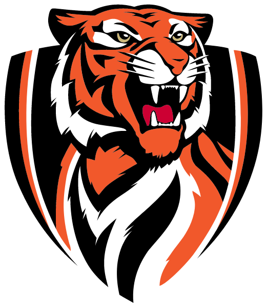 STRASBURG-FRANKLIN HIGH SCHOOL Logo
