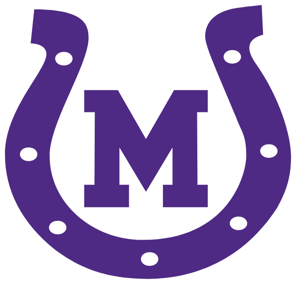 MASON HIGH SCHOOL Logo