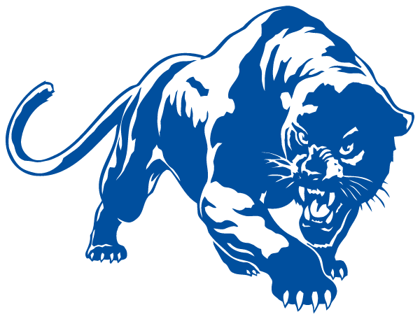 Stryker High School Logo