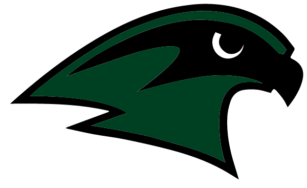 STALEY HIGH SCHOOL Logo