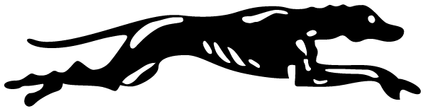 SHIPPENSBURG AREA HIGH SCHOOL Logo
