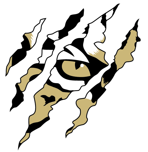 MCLEAN HIGH SCHOOL Logo