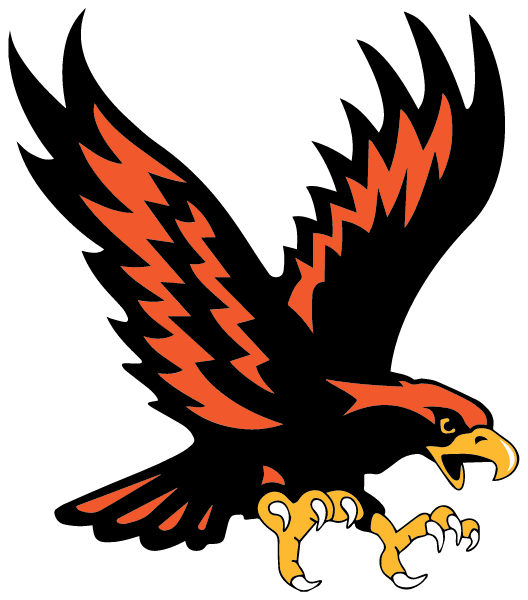 SOMERSET AREA HIGH SCHOOL Logo