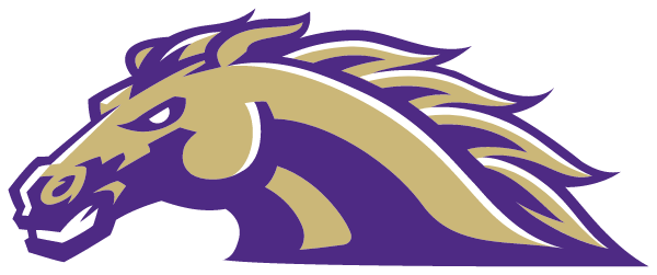 MEADOW HIGH SCHOOL Logo