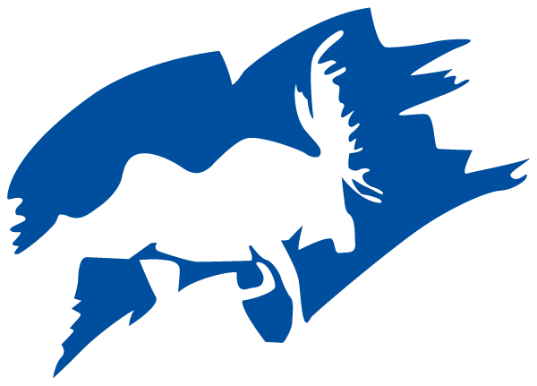 PALMER HIGH SCHOOL Logo