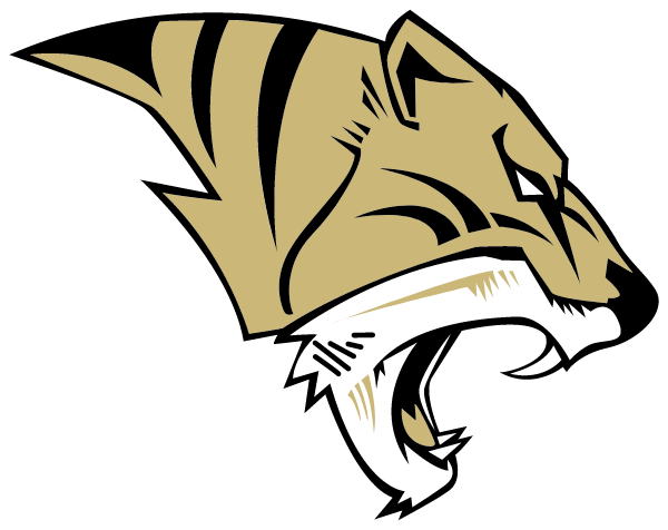 ARDMORE HIGH SCHOOL Logo