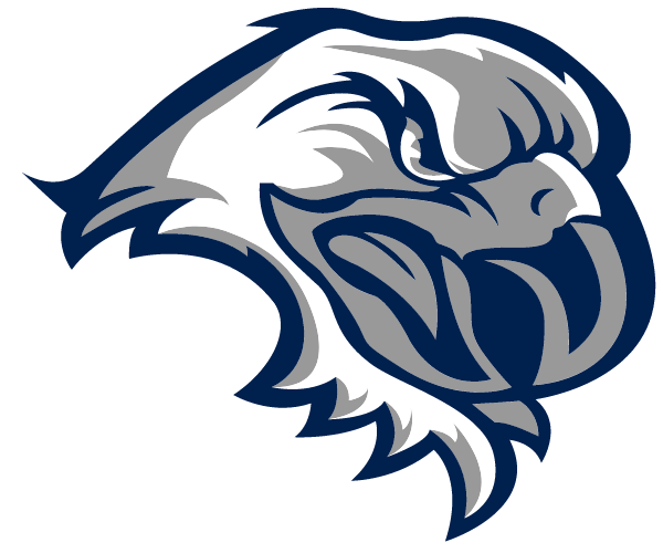 TAMAQUA AREA HIGH SCHOOL Logo
