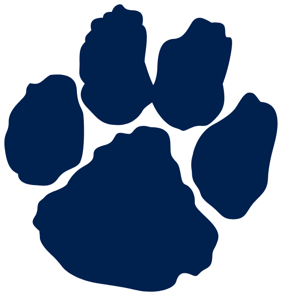 TWINSBURG HIGH SCHOOL Logo