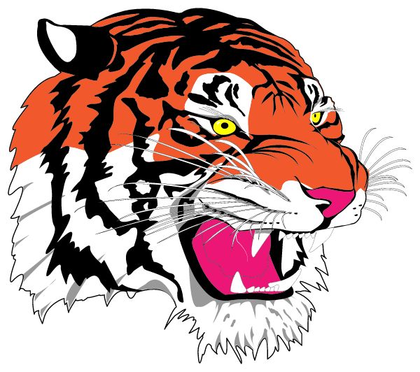 TUNKHANNOCK AREA HIGH SCHOOL Sideline Store Sideline Store