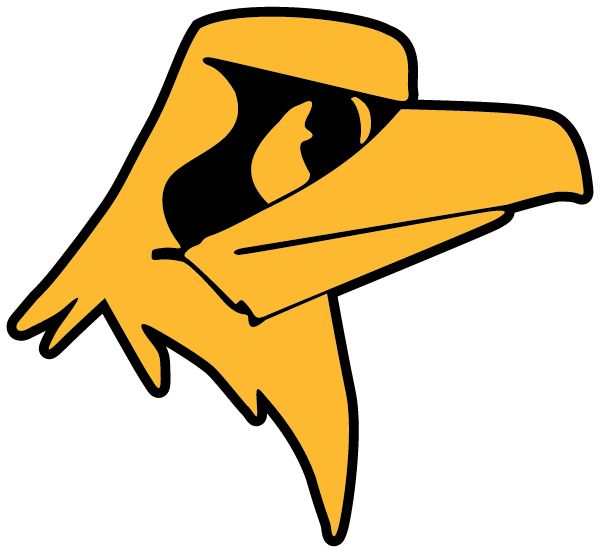 SOUTH SENECA HIGH SCHOOL Sideline Store Falcons (OVID, NEW YORK) Spirit Apparel & Accessories Store