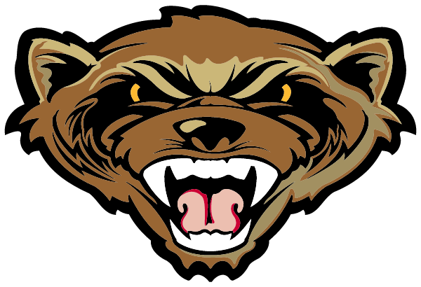 SCHENCK HIGH SCHOOL Logo