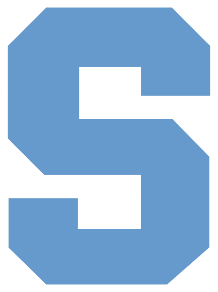 SKYLINE HIGH SCHOOL Logo