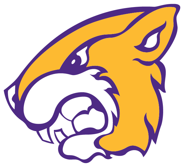 PAVILION HIGH SCHOOL Logo