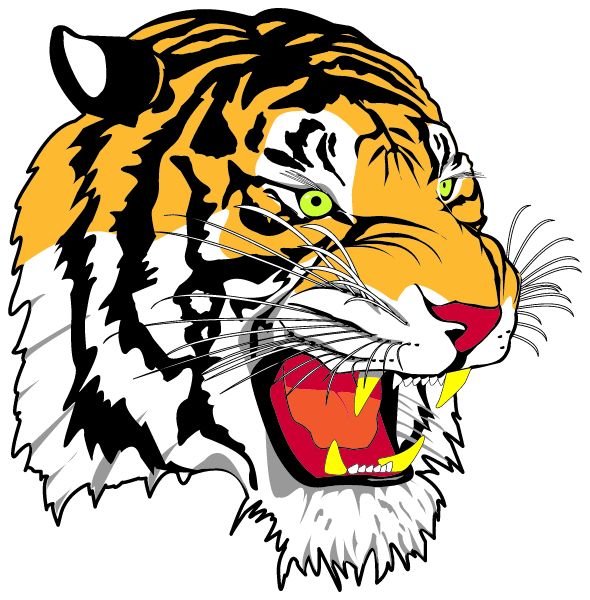 PAWLING HIGH SCHOOL Sideline Store Tigers (PAWLING, New York) Spirit Apparel & Accessories Store