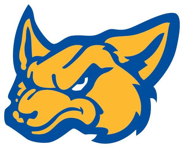 NAZARETH HIGH SCHOOL Logo