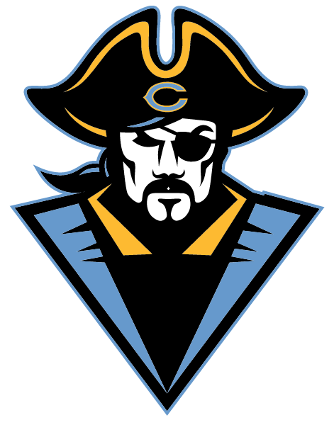 CUMBERLAND HIGH SCHOOL Logo