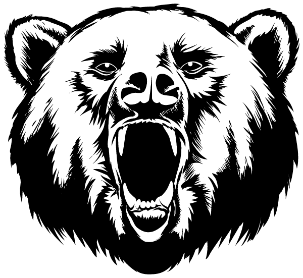 RIVER VIEW HIGH SCHOOL Logo