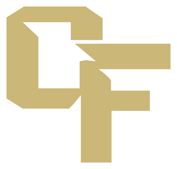 CYPRESS FALLS HIGH SCHOOL Logo