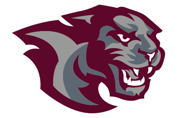 PORTVILLE HIGH SCHOOL Logo