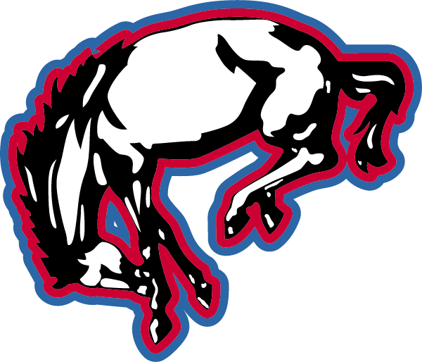 BARRINGTON HIGH SCHOOL Logo