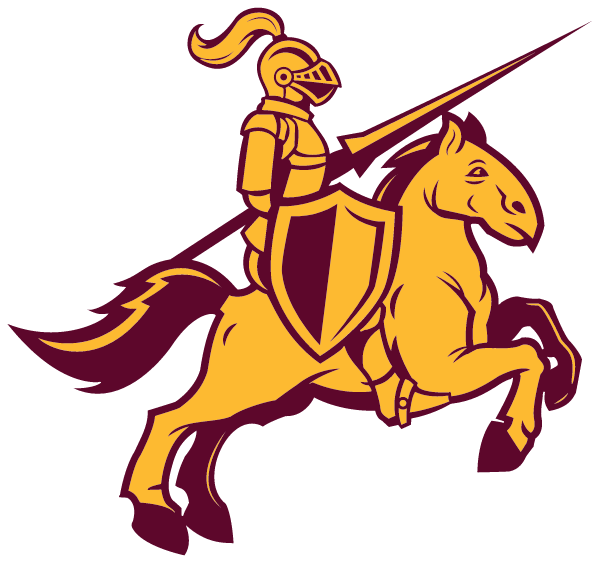 ST JOHN NEUMANN REGIONAL ACADEMY Logo