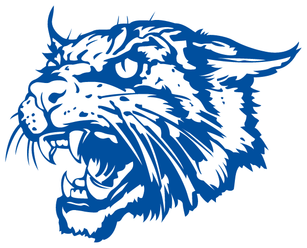 WILLIAMSBURG HIGH SCHOOL Logo
