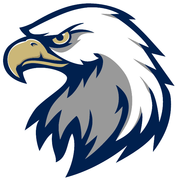 BALD EAGLE HIGH SCHOOL Logo