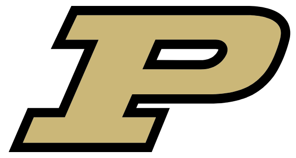 PALMER HIGH SCHOOL Logo