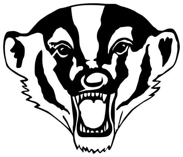 WAYNE HIGH SCHOOL Logo