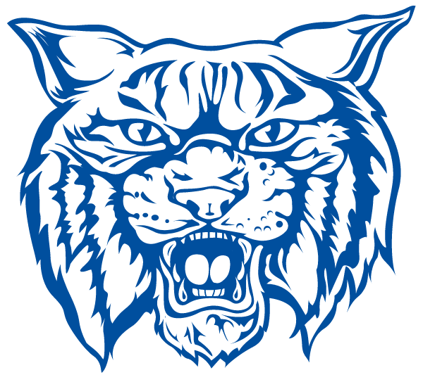 CENTER STANTON HIGH SCHOOL Logo