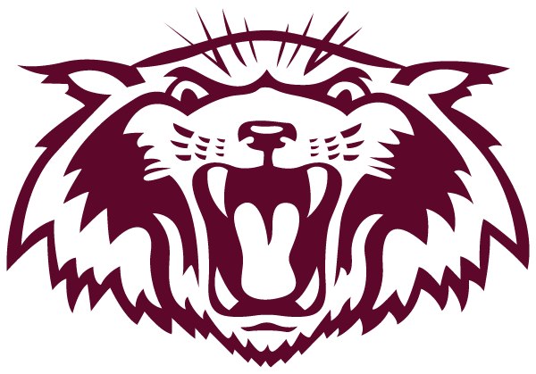 PLANO SENIOR HIGH SCHOOL Logo