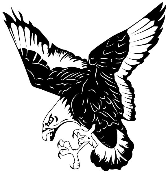 MISSISSINAWA VALLEY HIGH SCHOOL Sideline Store Blackhawks (UNION CITY, OHIO) Spirit Apparel & Accessories Store