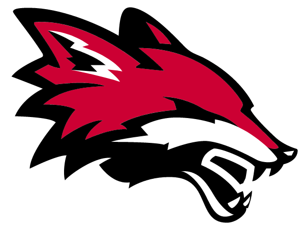 YORKVILLE HIGH SCHOOL Logo