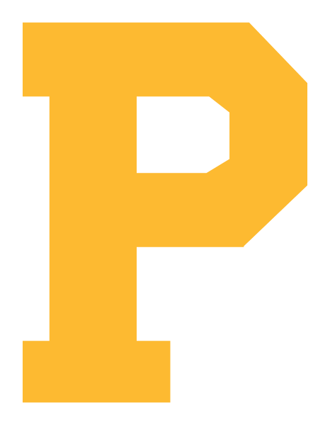 POTH HIGH SCHOOL Logo