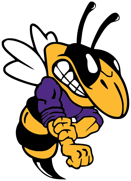BLUE RIDGE HIGH SCHOOL Logo