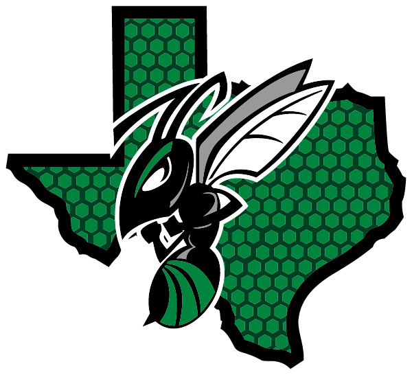 BOLES HIGH SCHOOL Logo