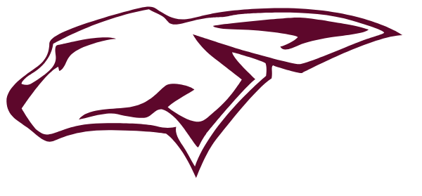 RALLS HIGH SCHOOL Logo