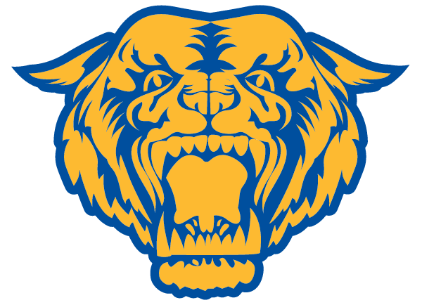 RAYMONDVILLE HIGH SCHOOL Logo