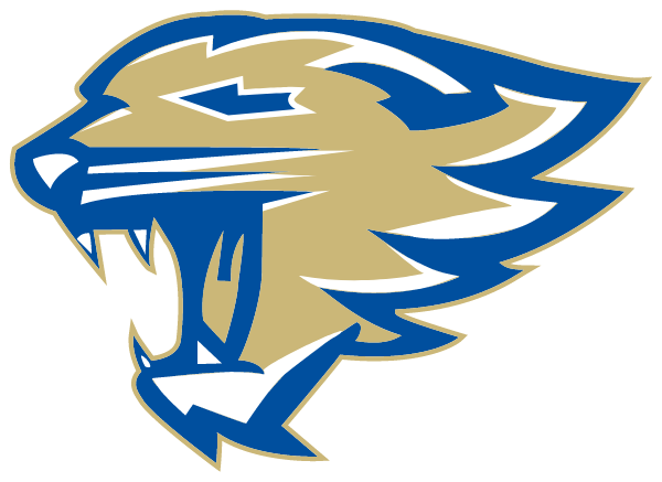 RISING STAR HIGH SCHOOL Logo