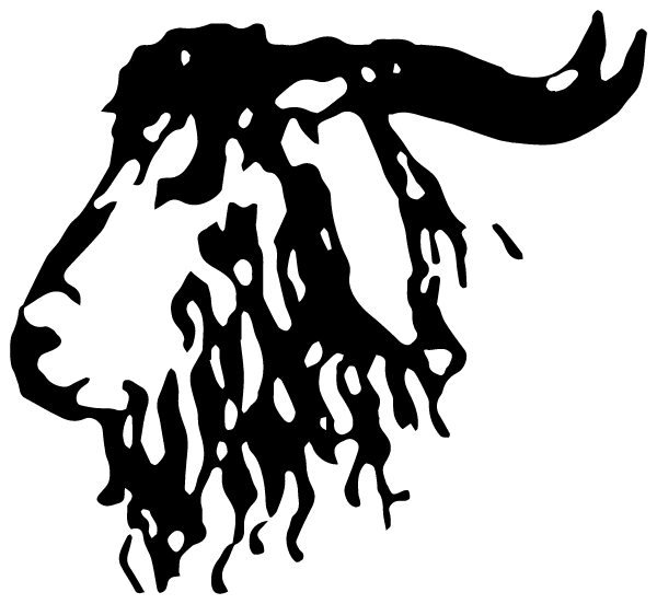 ROCKSPRINGS HIGH SCHOOL Logo