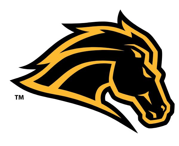 METEA VALLEY HIGH SCHOOL Sideline Store Mustangs (AURORA, Illinois) Spirit Apparel & Accessories Store