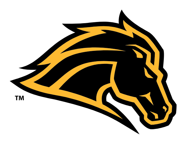 METEA VALLEY HIGH SCHOOL Logo