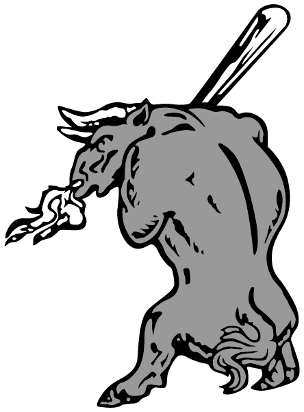 Lids Missouri Bulls Logo