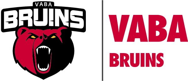 VIRGINIA BASKETBALL ACADEMY