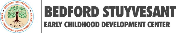 Bedford Stuyvesant Early Childhood Development Center, Inc.