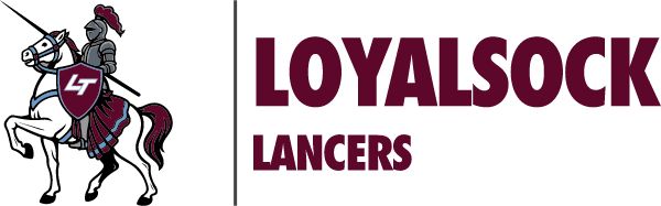 LOYALSOCK TOWNSHIP SCHOOL DISTRICT