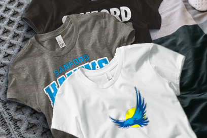 Sanford  Hawks Tees (Option 1) Banner