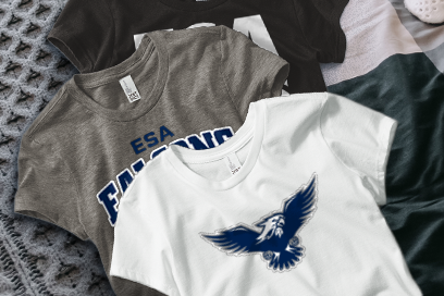 ESA Falcons Tees (Option 1) Banner